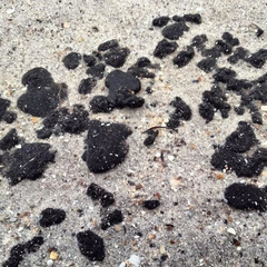 Мазут на українському узбережжі