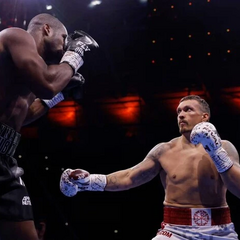 Зеленский поздравляет Усика с победой