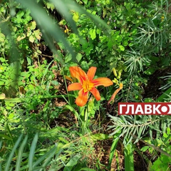 Без опадів: погода на 2 серпня