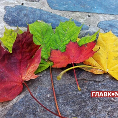 Синоптик розповідає про температуру в жовтні