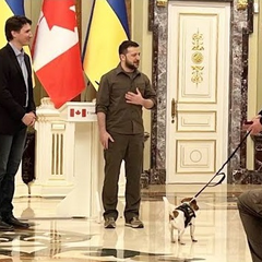 Знаменитий пес-сапер Патрон та його зустріч з Джастіном Трюдо
