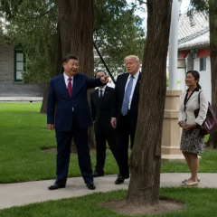 Trump and Xi Jinping in the White House