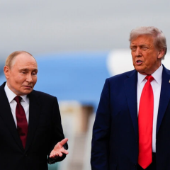 Трамп просит Путина прекратить удары по Украине