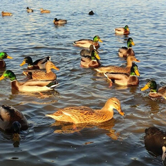 Прогноз погоди на 2 січня