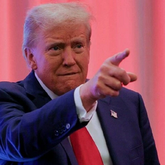 Трамп анонсировал бой UFC в Белом доме