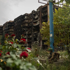 The photo of roses in Pokrovsk outraged Ukrainians