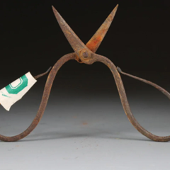 Evidence of anesthesia found 500 years ago