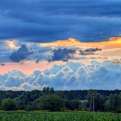 Український прогноз погоди для 19 липня