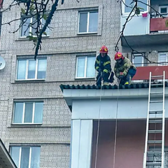 Женщина выпала из окна девятого этажа