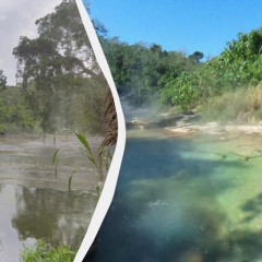 Unique hot river in Peruvian Amazon