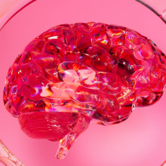 Image of the protein that stops tumor growth