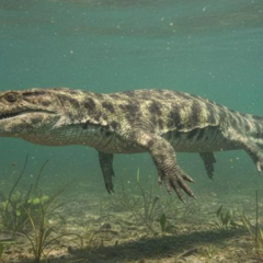 Мозазавр Garamaudo bauciensis в пресноводном озере