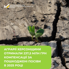 Посіви пошкоджені: аграрії отримали компенсацію