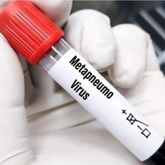 Заявление ВОЗ на фоне угрозы метапневмовирусной инфекции