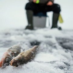 Календар рибалки на лютий 2025