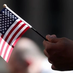 Грин-карты темного оттенка