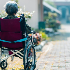 Inflammatory immune cell response in Alzheimer's disease