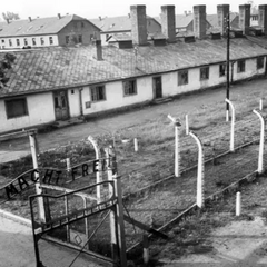 В'язень концтабору Аушвіц під час звільнення