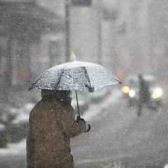 Снежная хаотичность и зимний пейзаж