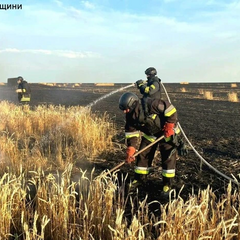 Пожежа на пшеничному полі в Харківській області