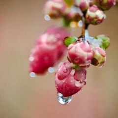 Погода на початку тижня у Києві