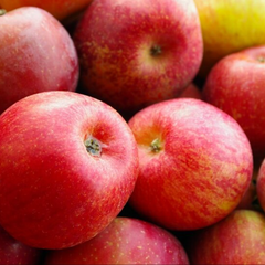 Яблоки с подписью 'рекордные цены'