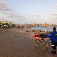 Акула напала на туристів у Єгипті