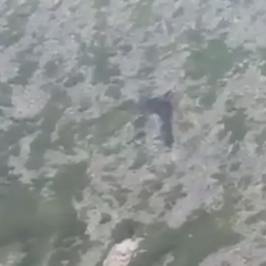 Уламки гелікоптера Мі-8