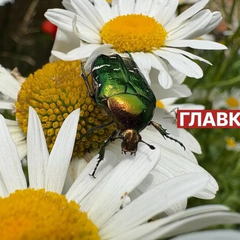 Прогноз погоди на 28 серпня