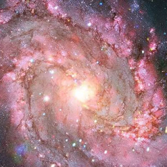 Світлини наднових у галактиці M83