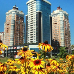 Спека до +30° в Києві