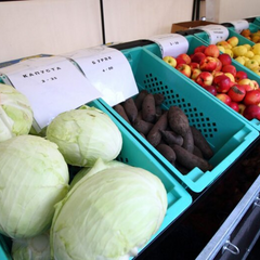 Картофель, капуста, лук - дорожают