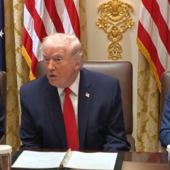 Trump and Putin discussing ceasefire