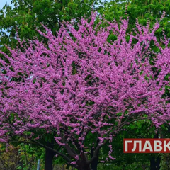 Погода на 23 квітня