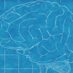 Nasal spray restores memory after two doses