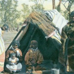 Семь раз больше коренных австралийцев в 1788