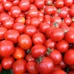 Снижение цен на популярный овощ