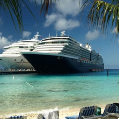 Новий штам вірусу на круїзних лайнерах