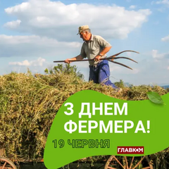 Соняшникове поле з фермером на Україні