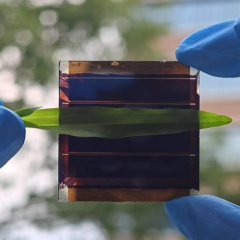 Solar panels become shade-resistant thanks to scientists from Hong Kong