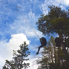 Директор парку розваг заарештований за антисемітизм