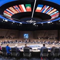 П'ять країн НАТО відмовили Україні в підтримці