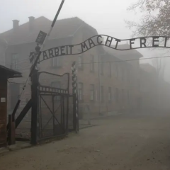 News about Holocaust in Ukraine