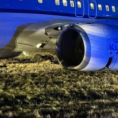 Аварійна посадка Boeing 737 KLM