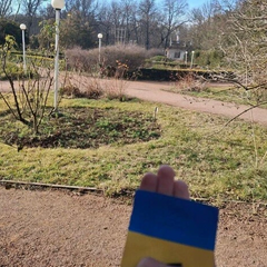 Движение «Желтая лента» протестует в Крыму