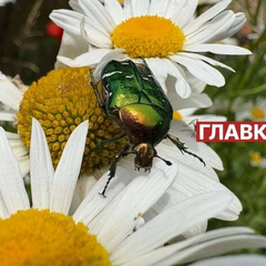 Погода в Україні на 14 липня