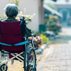 Brain protected from dementia