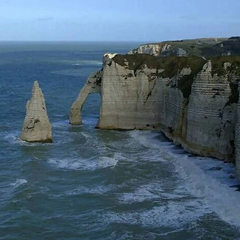 Пропозиція Маска перейменувати Ла-Манш