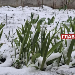 Непогода заморозки гроза урожай в Украине