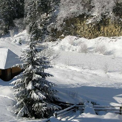 Новий гірськолижний курорт у Карпатах